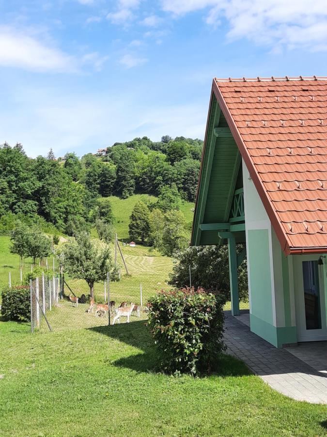 Holiday Home Neokrnjena Narava Sevnica Экстерьер фото