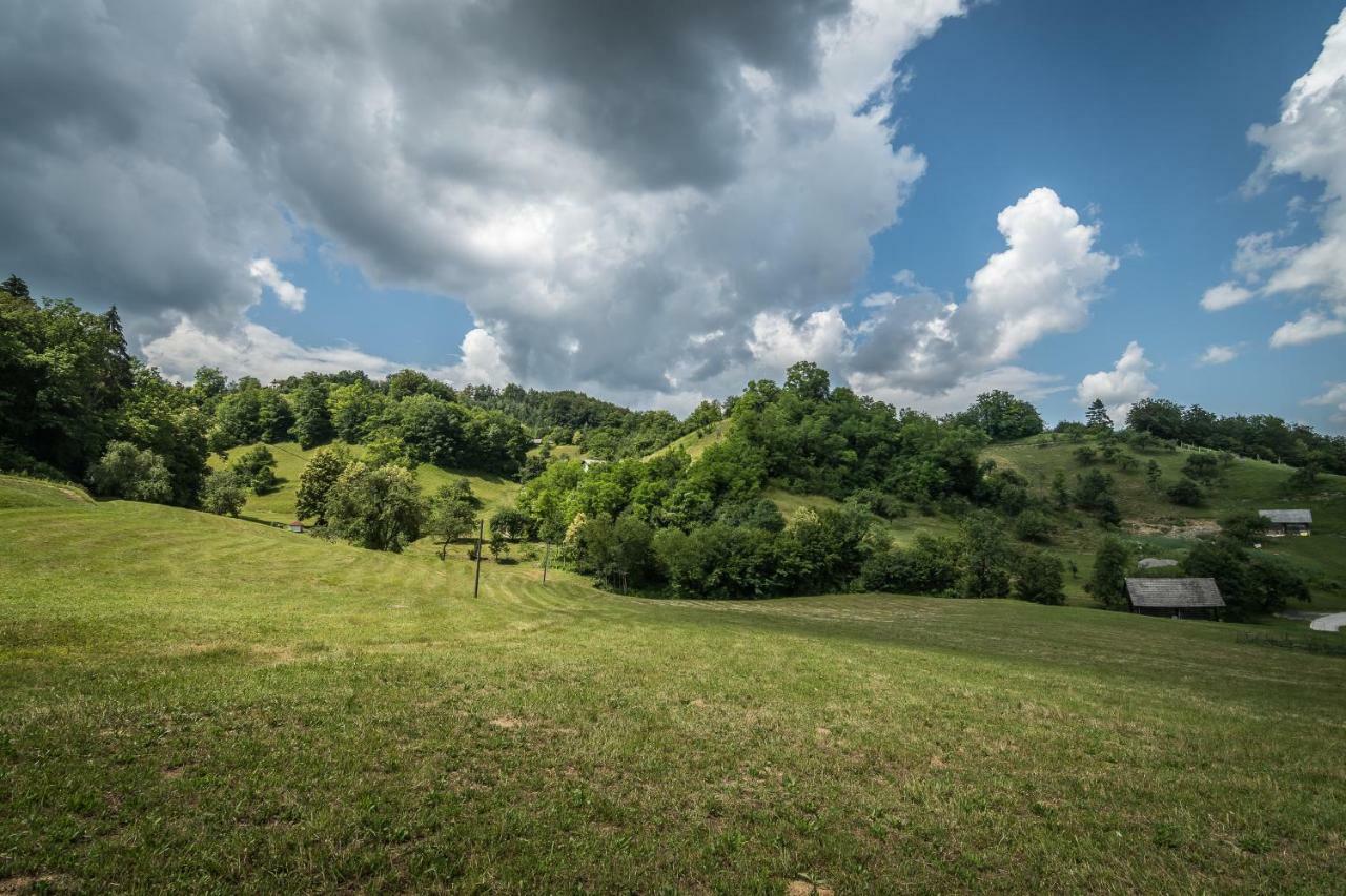 Holiday Home Neokrnjena Narava Sevnica Экстерьер фото
