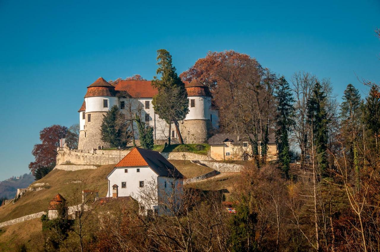 Holiday Home Neokrnjena Narava Sevnica Экстерьер фото