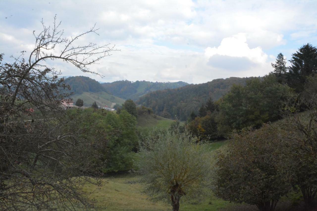Holiday Home Neokrnjena Narava Sevnica Экстерьер фото