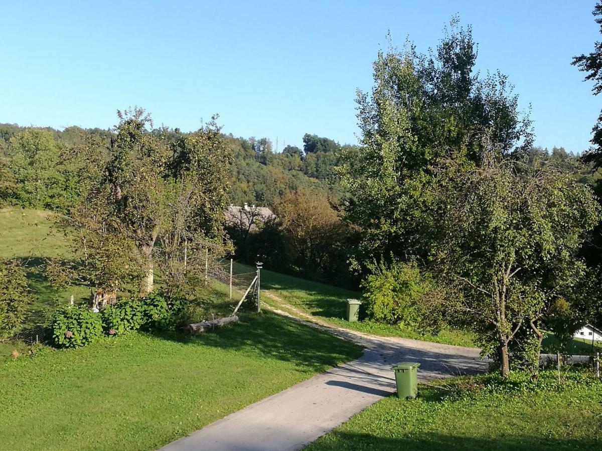 Holiday Home Neokrnjena Narava Sevnica Экстерьер фото